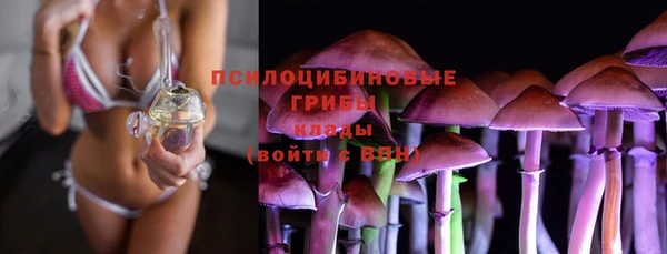 альфа пвп Нефтекумск