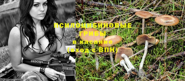 ALPHA PVP Михайловск