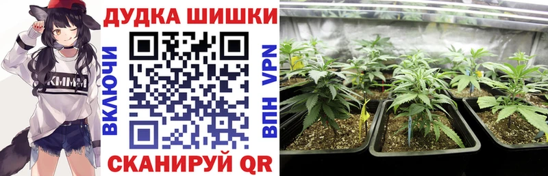 Бошки марихуана план  блэк спрут онион  Костерёво 